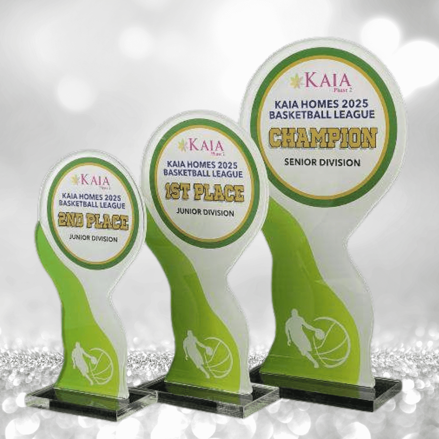 Acrylic Plaque Awards - AA-025