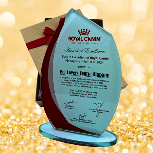 Rush Order Glass Plaque Awards - RA001