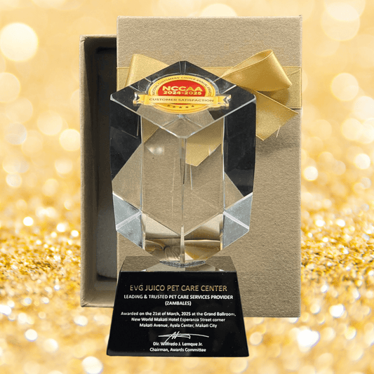 Crystal Trophy Awards - CT-037