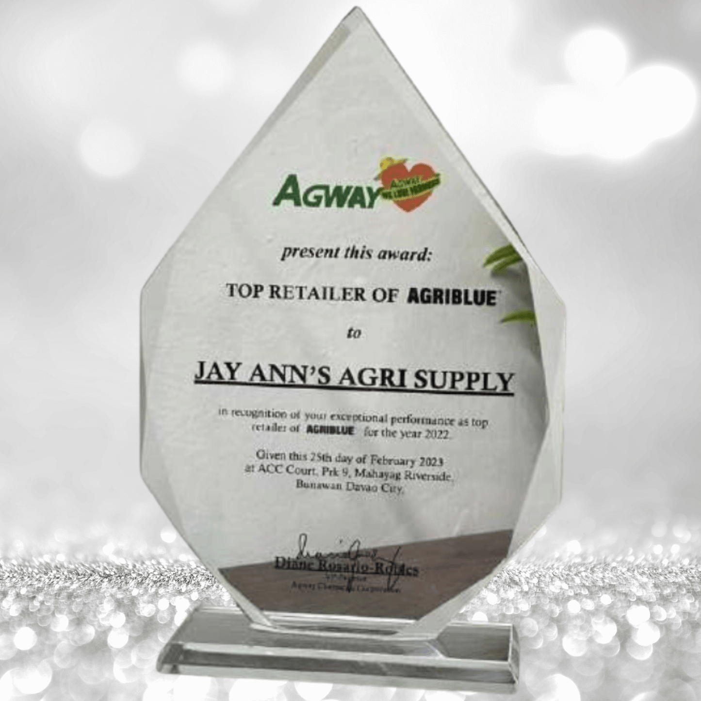 Crystal Trophy Awards - CT-049