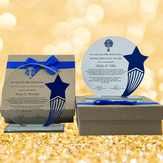 Best-Selling Glass Plaque Awards - GPA-024