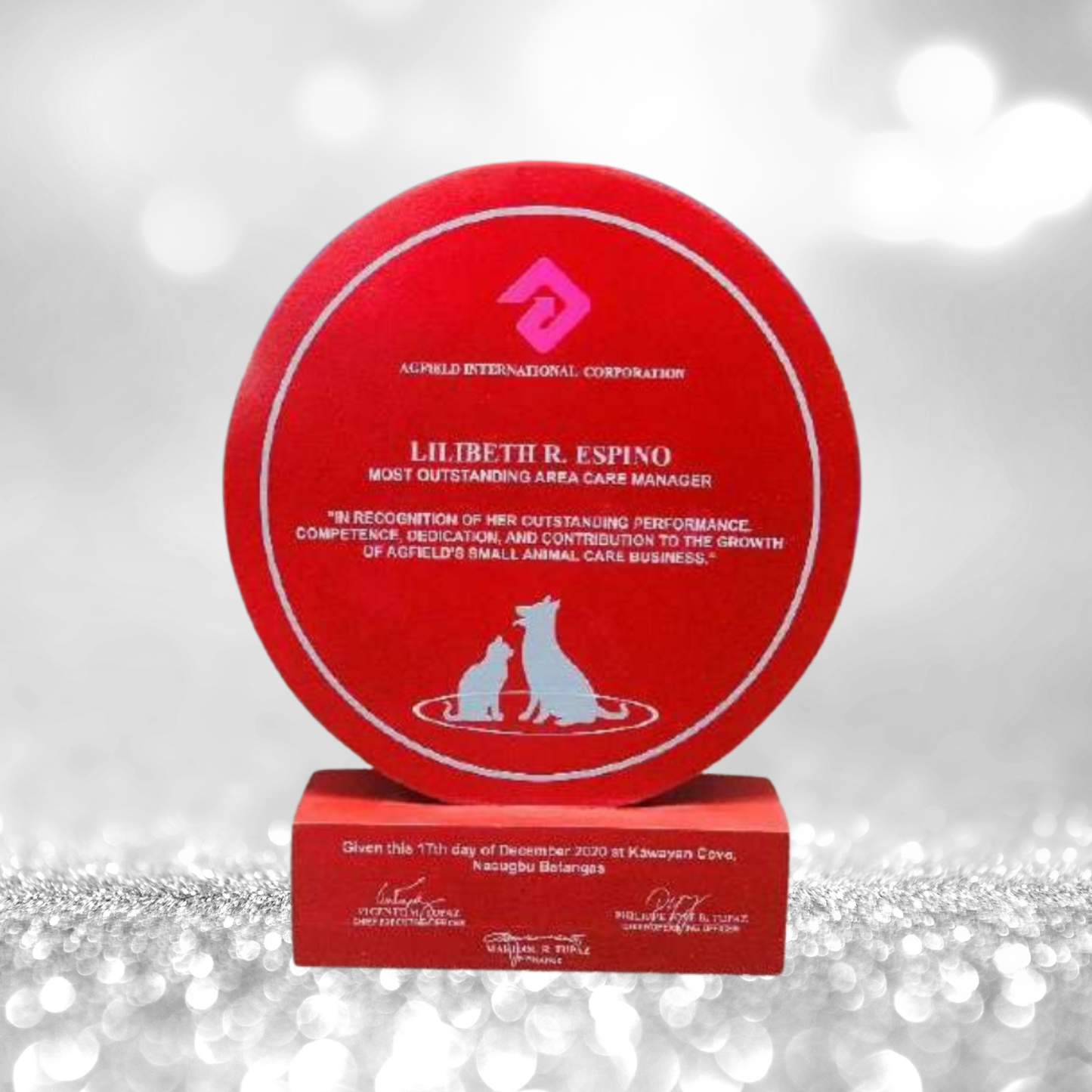 Best-Selling Wood Plaque Awards - GPA-041