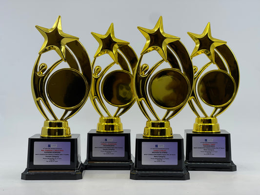 Commercial Trophy and Awards Design -SA-048