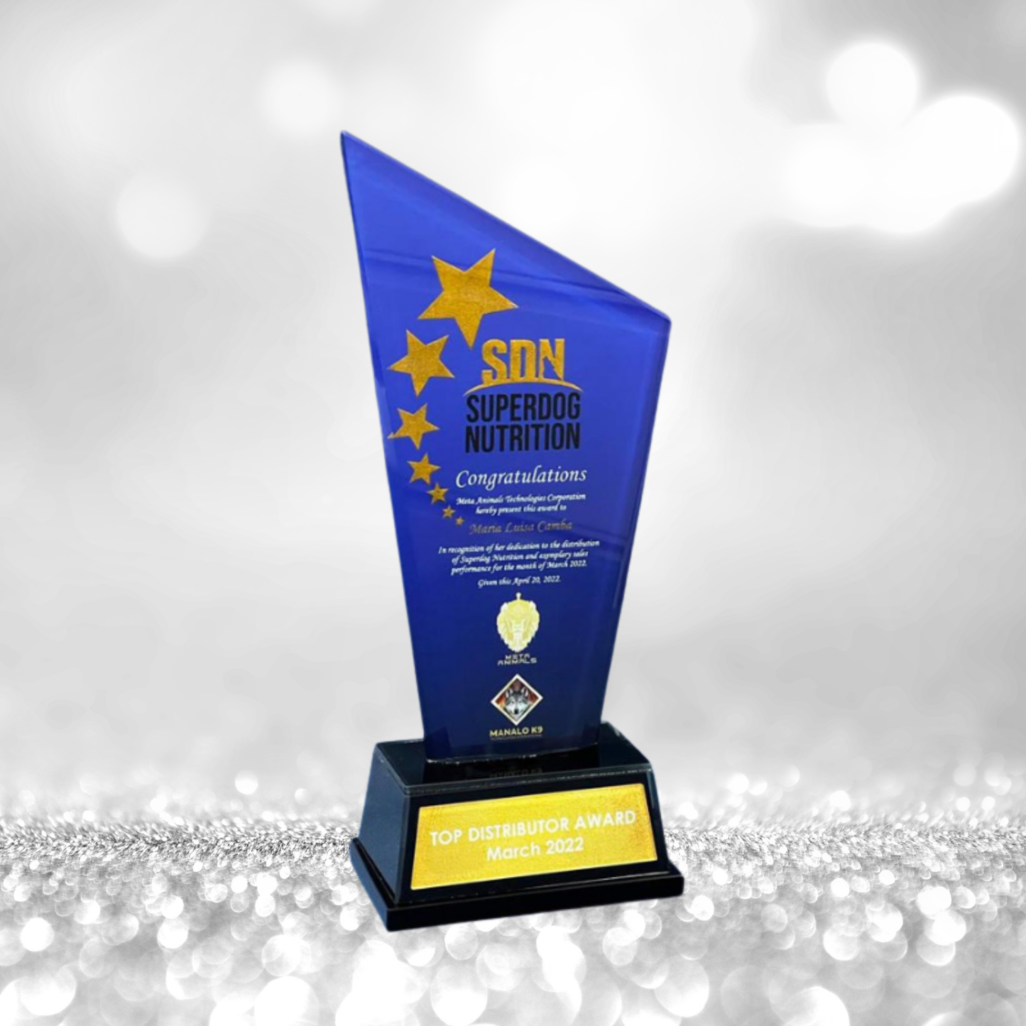 Glass Plaque and Awards Designs -SA-036