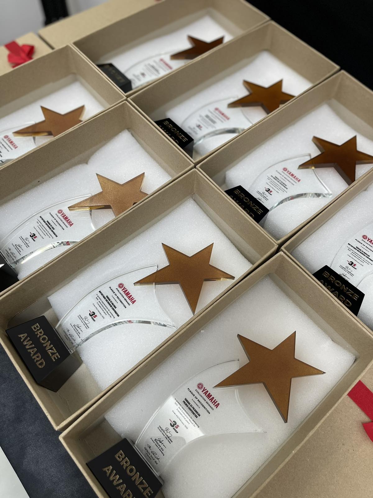 Crystal Trophy Awards - CT-007