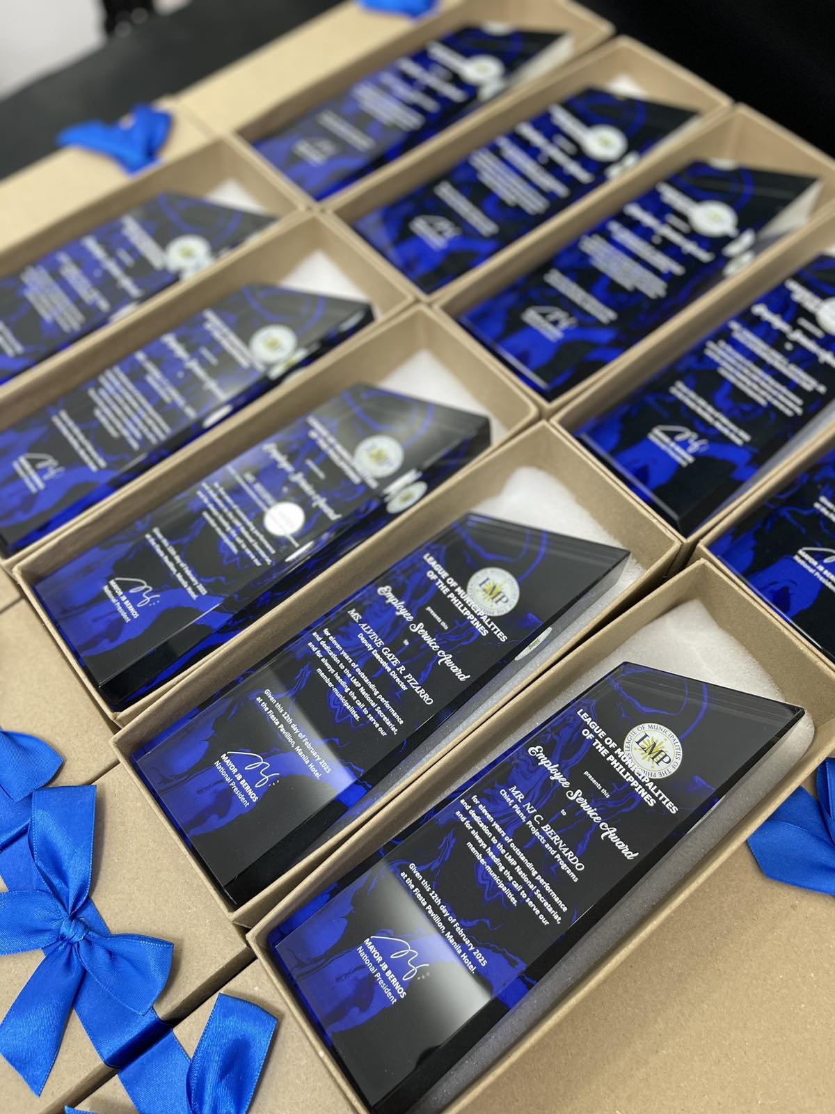Crystal Trophy Awards - CT-048
