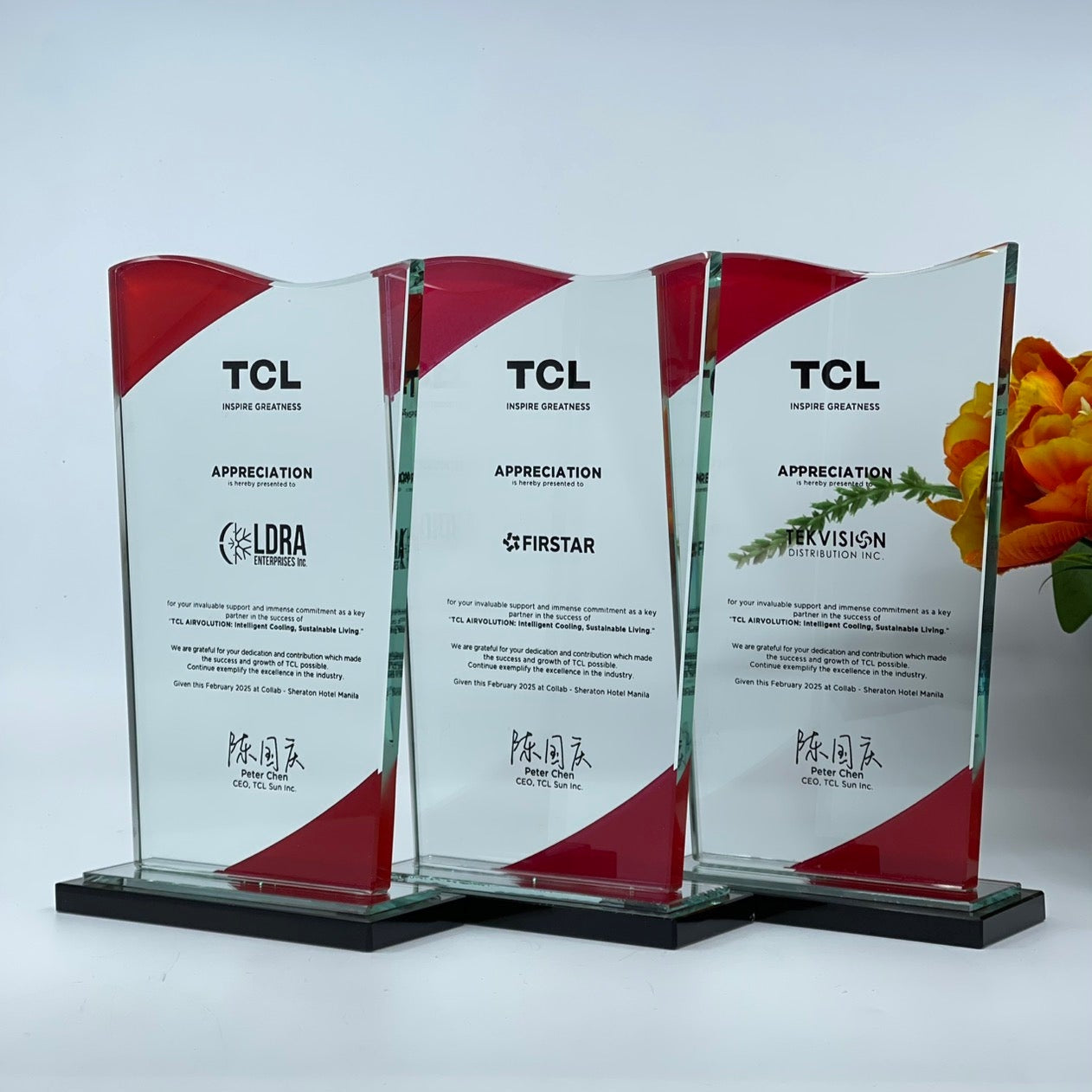 Rush Order Glass Plaque Awards - RA025