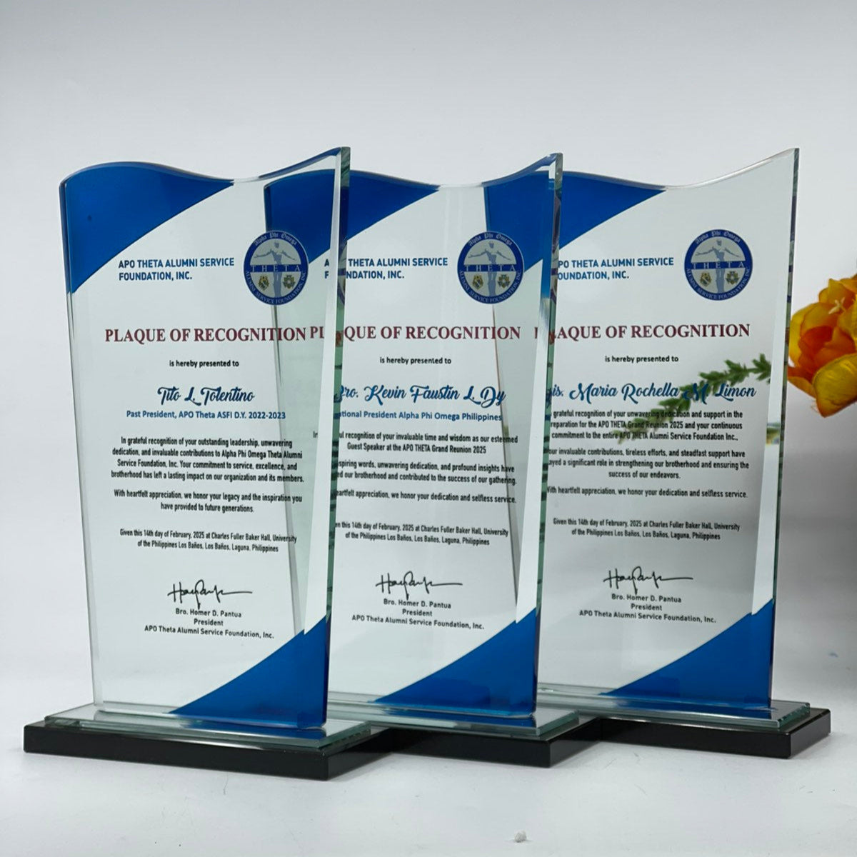 Rush Order Glass Plaque Awards - RA003