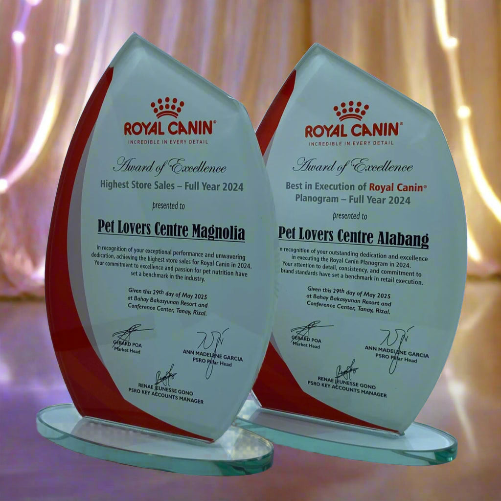 Rush Order Glass Plaque Awards - RA001