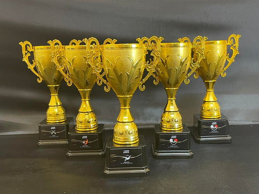 Commercial Trophy and Awards Design -SA-047