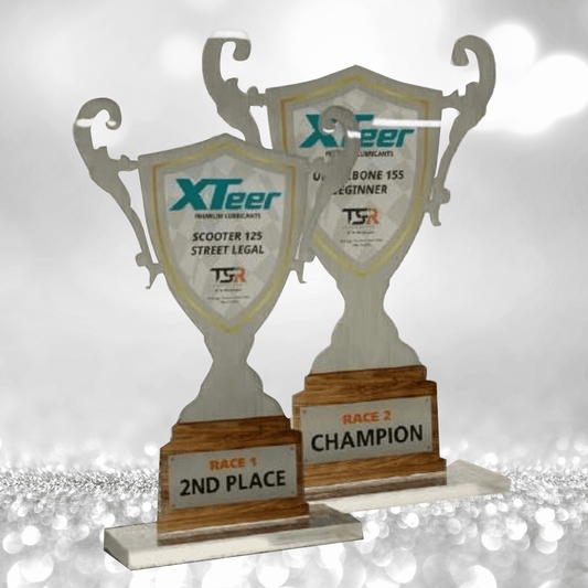 Acrylic Plaque Awards - AA-023