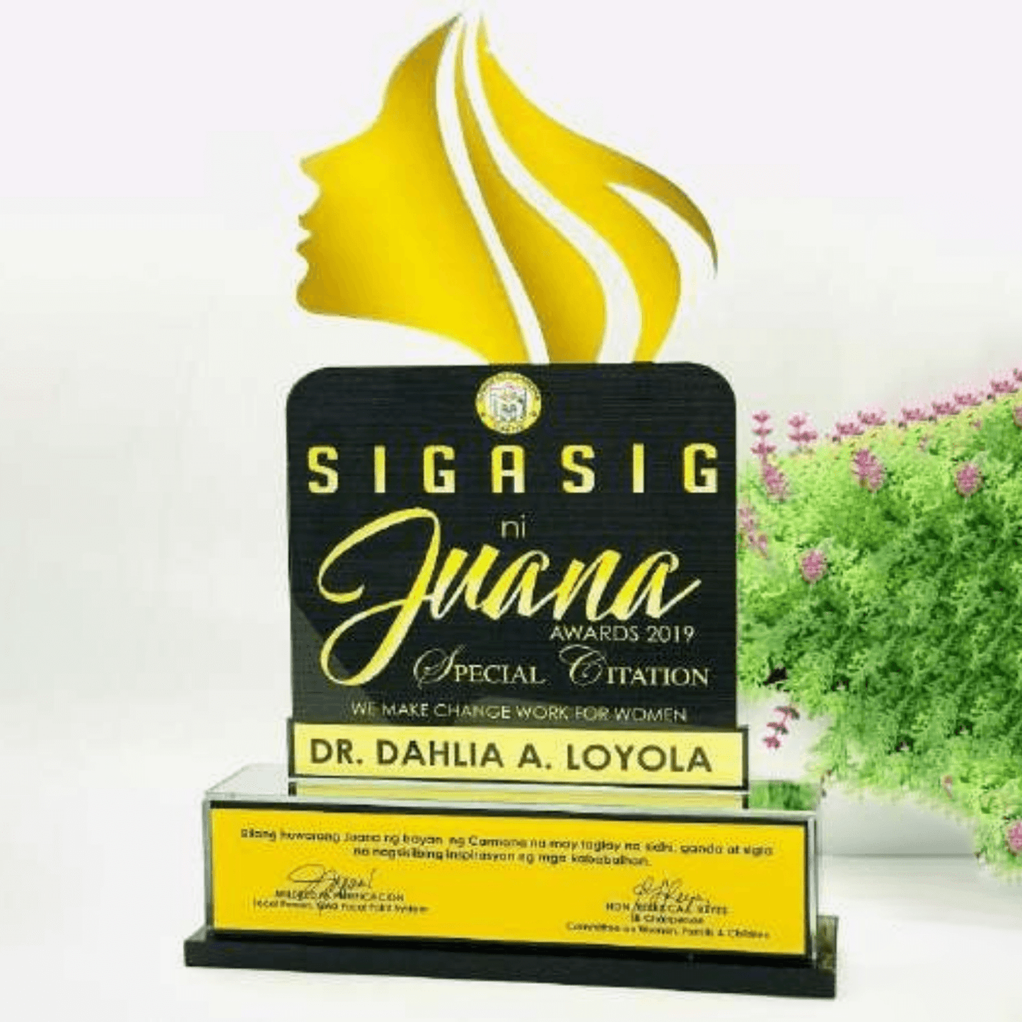 Acrylic Plaque Awards - AA-028