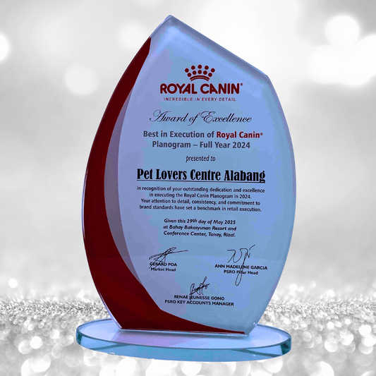 Rush Order Glass Plaque Awards - RA001