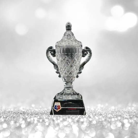 Crystal Trophy Awards - CT-033