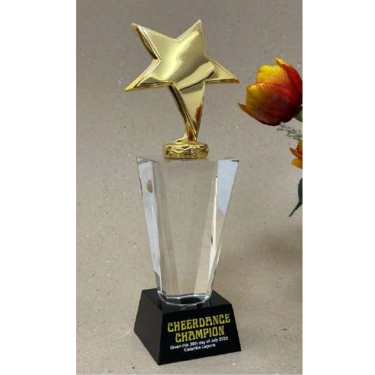 Crystal Trophy Awards - CT-044