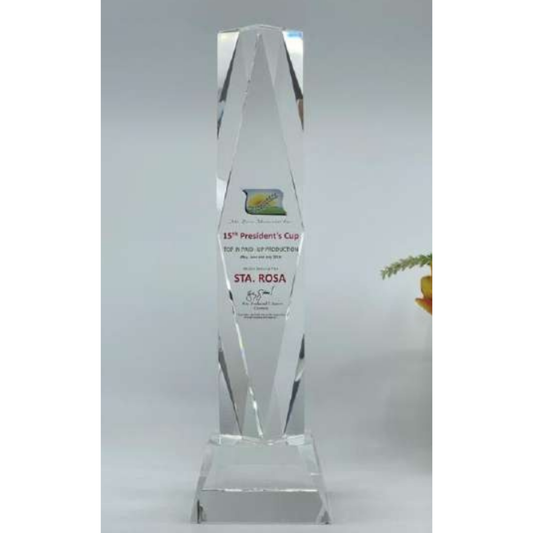 High Grade Crystal Awards and Trophies - CTK9-004