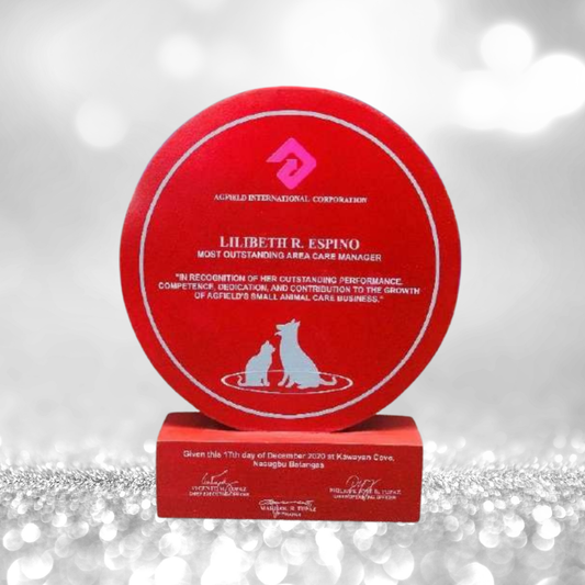 Best-Selling Wood Plaque Awards - GPA-041