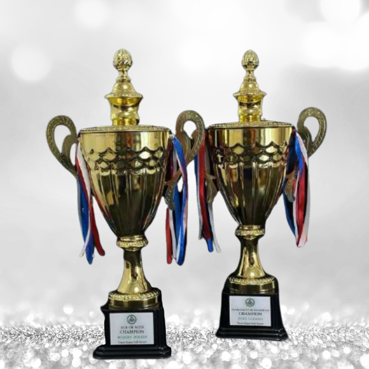 Italian and Commercial Trophy Series - GTA-070 *New Design*