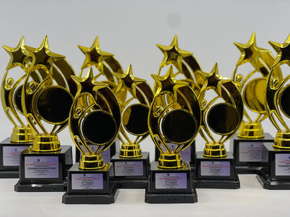 Commercial Trophy and Awards Design -SA-048