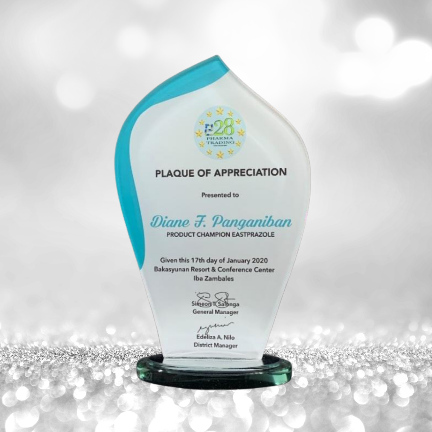 Rush Order Glass Plaque Awards - RA013