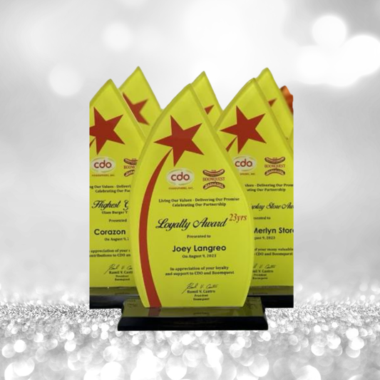 Rush Order Glass Plaque Awards - RA015