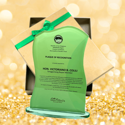 Rush Order Glass Plaque Awards  - RA021