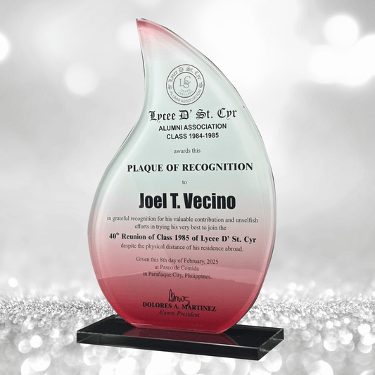 Rush Order Glass Plaque Awards - RA007
