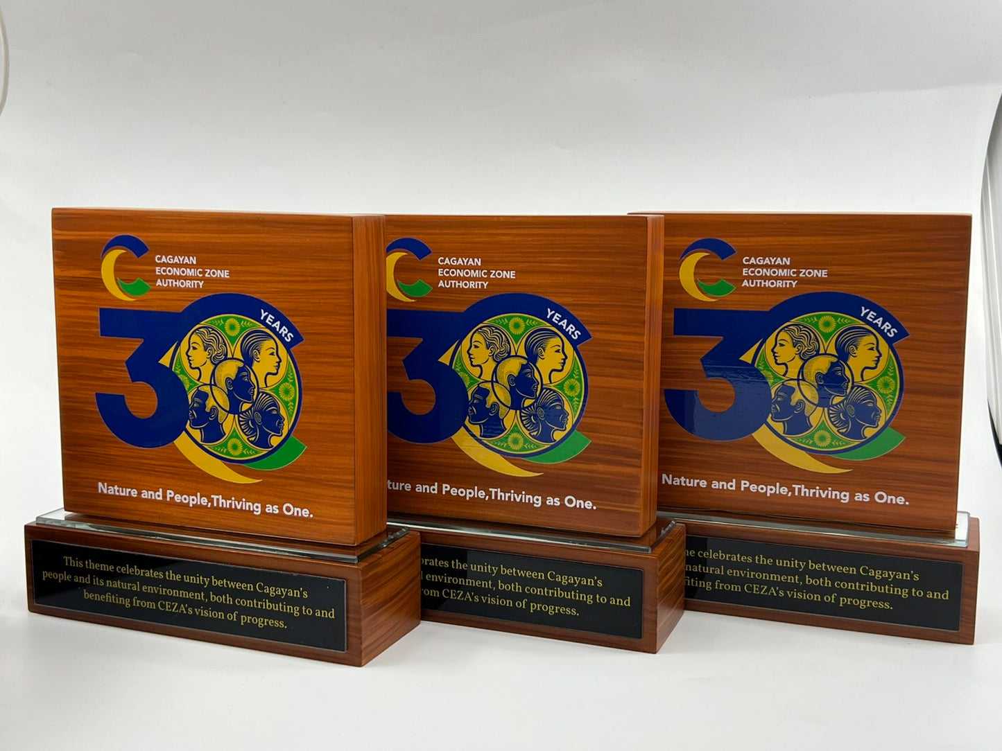 Best-Selling Wood Plaque Awards - GPA-040 *NEW DESIGN*