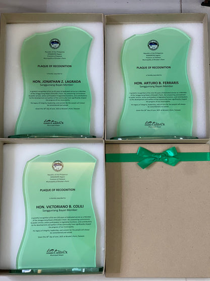Rush Order Glass Plaque Awards  - RA021