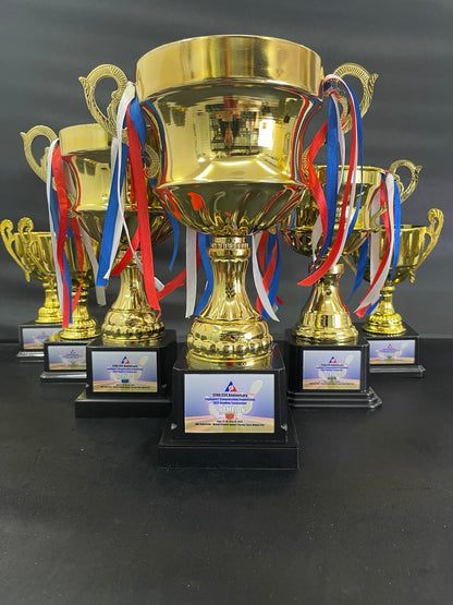 Commercial Trophy and Awards Design -SA-043